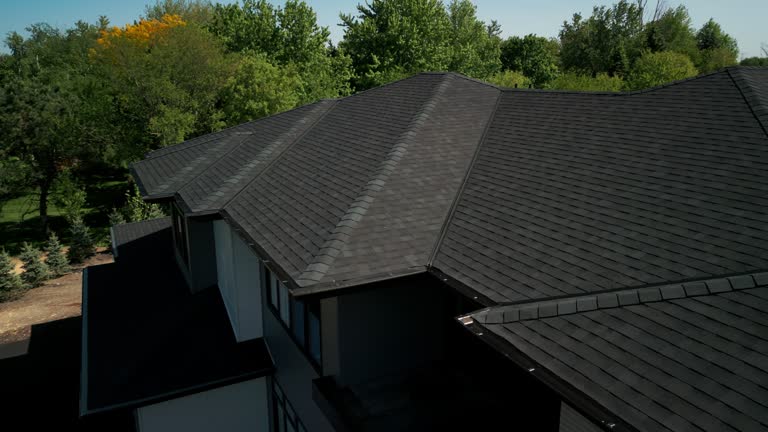 Best Roof Ventilation Installation  in Susitna North, AK