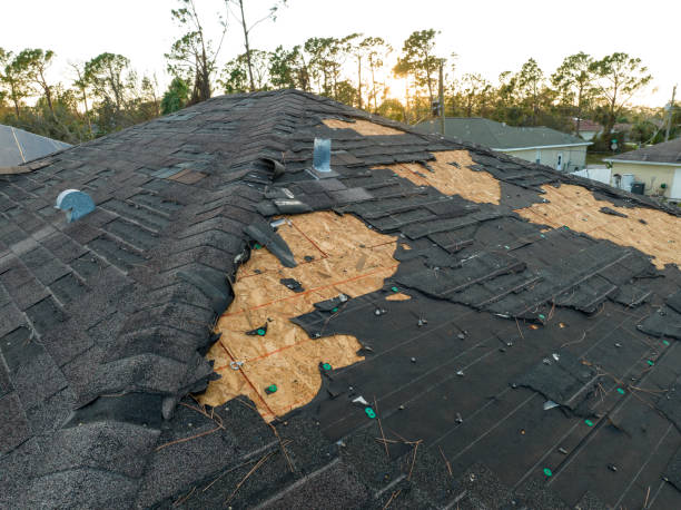 Roof Insulation in Susitna North, AK