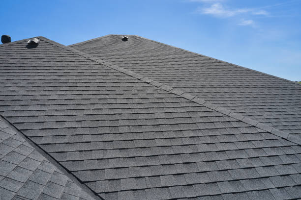 Best Green or Eco-Friendly Roofing Solutions  in Susitna North, AK